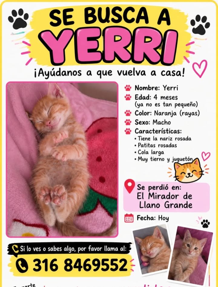 Se busca a Yerrri 