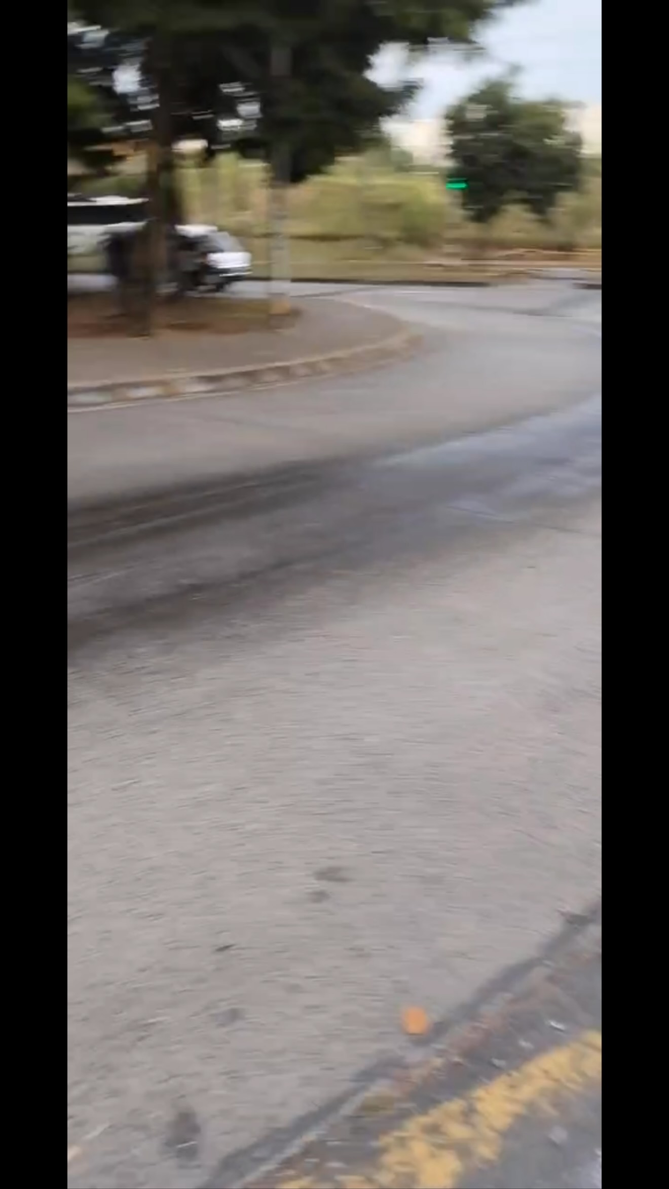 Se busca perro perdido en Pereira 