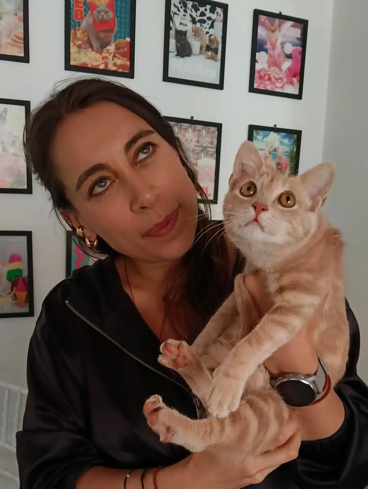 Gatita Mafalda rescatada y lista para adopción responsable 