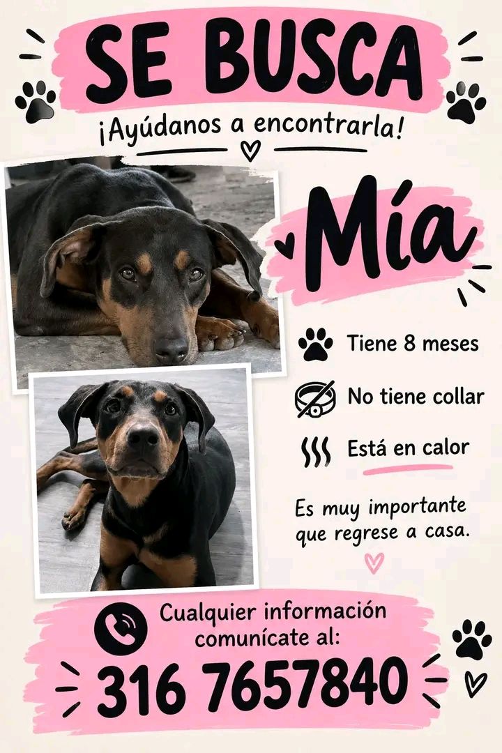 Se busca perra Mia en Tuluá, Valle 