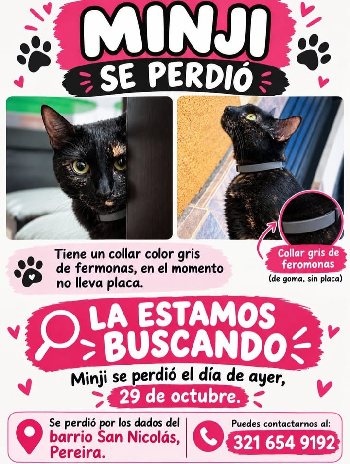 Minji se perdió en Pereira 