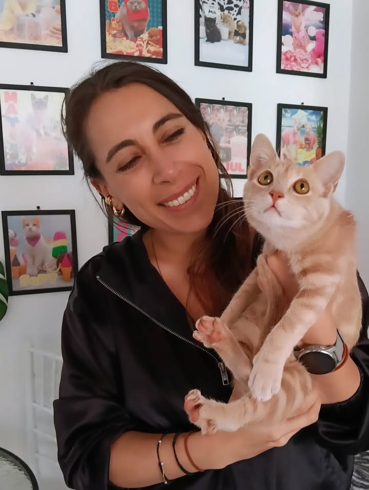 Gatita Mafalda rescatada y lista para adopción responsable 