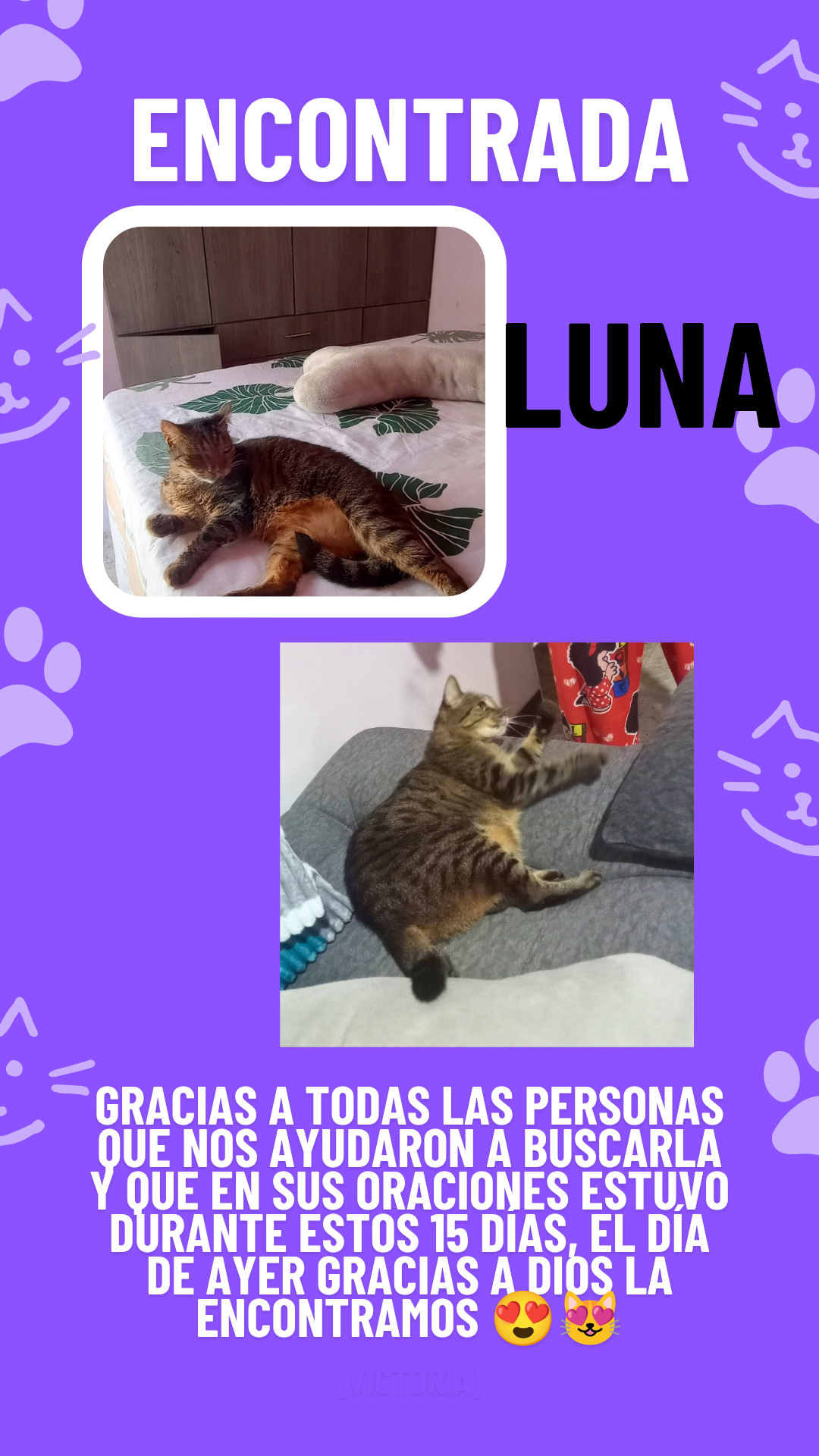 Gata encontrada: Luna 🐾 236